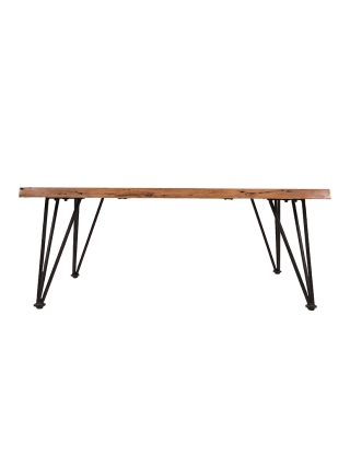 Daria Salontafel
