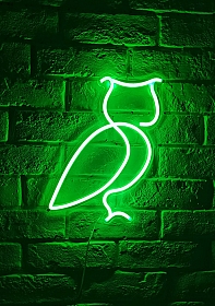 Neon Sign - Owl