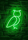 Owl - LED Neon Sign